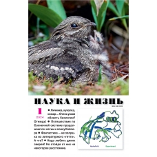 Nauka i zhizn'. №1 2024