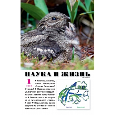 Nauka i zhizn'. №1 2024