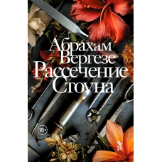 Rassechenie Stouna: roman. Vergeze A. Fantom Press