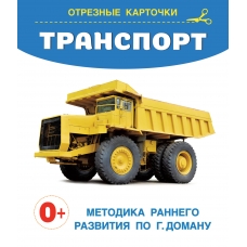 Transport. Otreznye kartochki