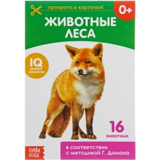 Zhivotnye lesa. Otreznye kartochki