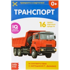 Transport. Otreznye kartochki