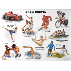 Plakat. Vidi sporta