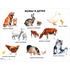 Plakat. Mami i detki