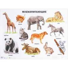 Plakat. Mlekopitajuschie