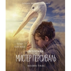 Shtormik i mister Persiv.Tile Kolin/ Книги с иллюстрациями Роберта Ингпена