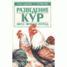 Разведение кур мясо-яичных пород